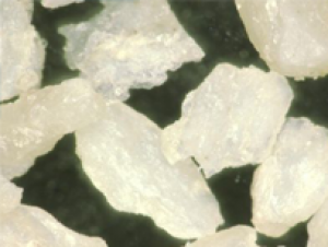 Cortical Particulate — Maxxeus dental biologics product
