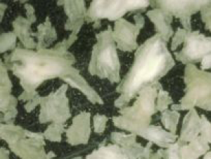 Demineralized Cortical Particulate — Maxxeus dental biologics product