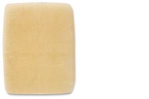 Laminar Bone Membrane — Maxxeus dental biologics product