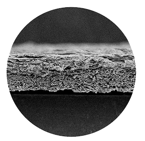 MaxxMem+ — Maxxeus dental biologics product